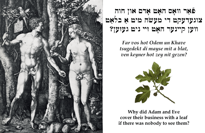 Yiddish: Why did Adam and Eve cover their business with a leaf if there was nobody to see them?