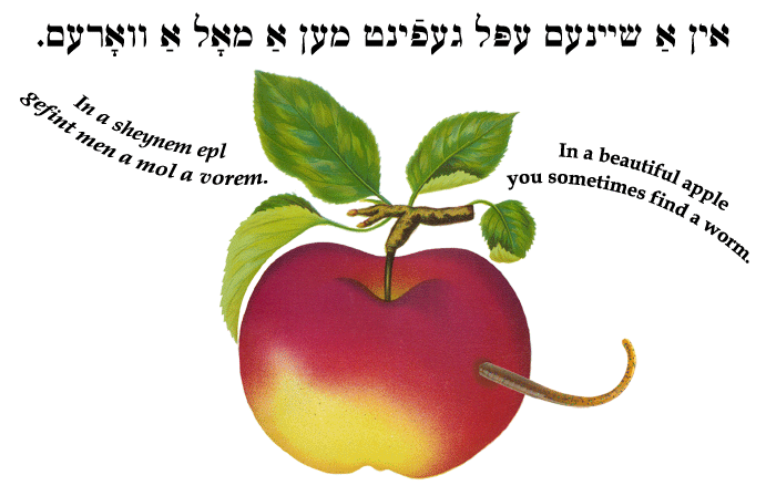 Yiddish: In a beautiful apple you sometimes find a worm.