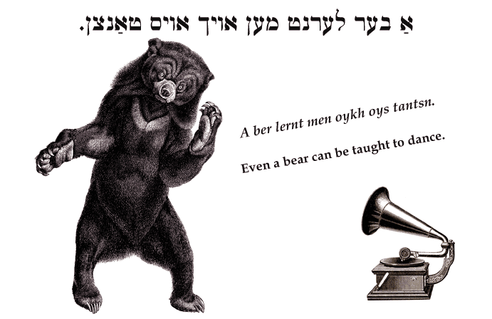 Yiddish: Even a bear can be taught to dance.