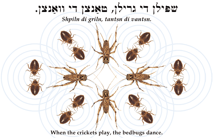 Yiddish: When the crickets play, the bedbugs dance.