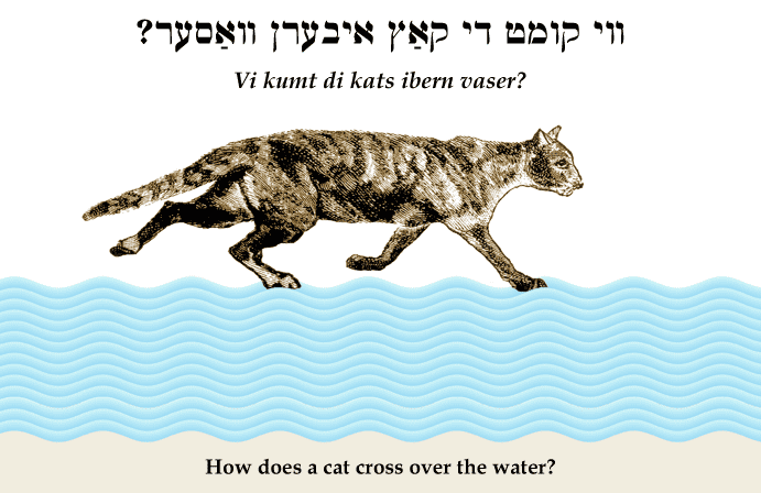 Yiddish: How does a cat cross over the water?