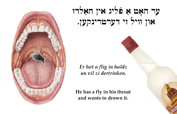 Yiddish: He has a fly in his throat and wants to drown it.