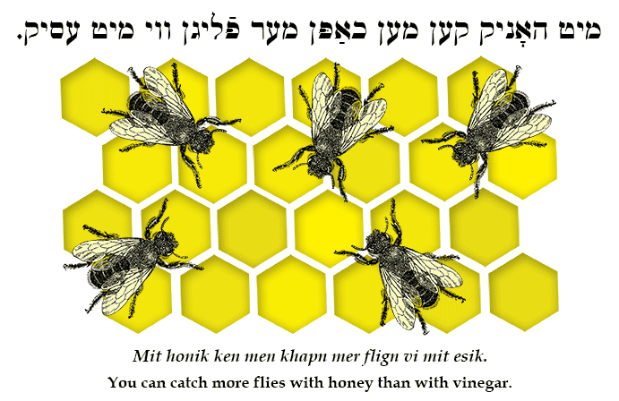 Yiddish: You can catch more flies with honey than with vinegar.