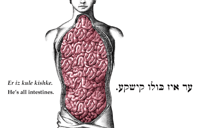 Yiddish: He's all intestines.