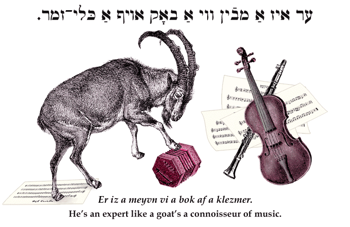 Yiddish: He's an expert like a goat's a connoisseur of music.