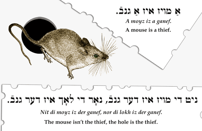 A mouse is a thief. / The mouse isn't the thief, the hole is the thief.