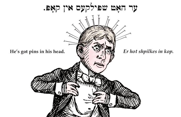 Yiddish: He's got pins in his head.
