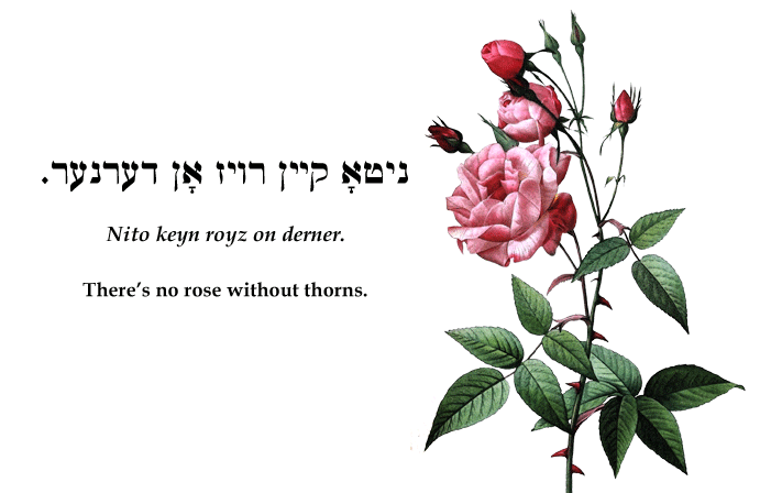 Yiddish: There's no rose without thorns.