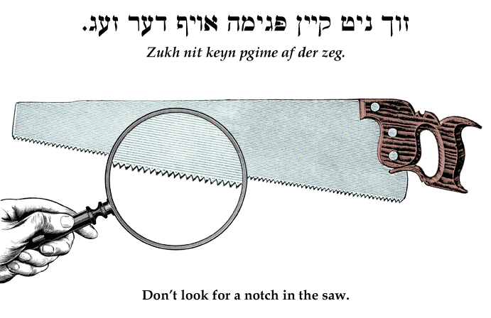 Yiddish: Don't look for a notch in the saw.