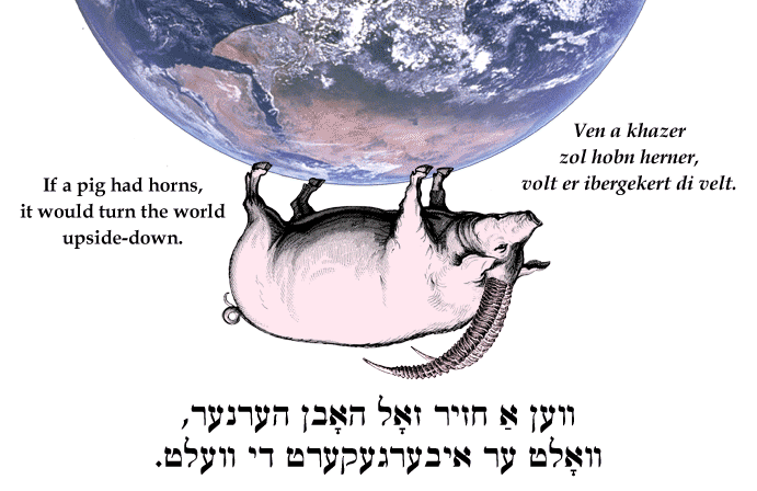 Yiddish: If pig a had horns, it would turn the world upside-down.