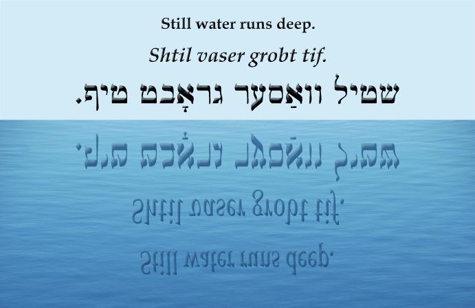 Yiddish: Still water runs deep.