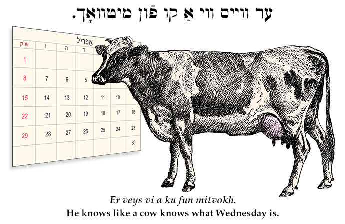 Yiddish: He knows like a cow knows what Wednesday is.