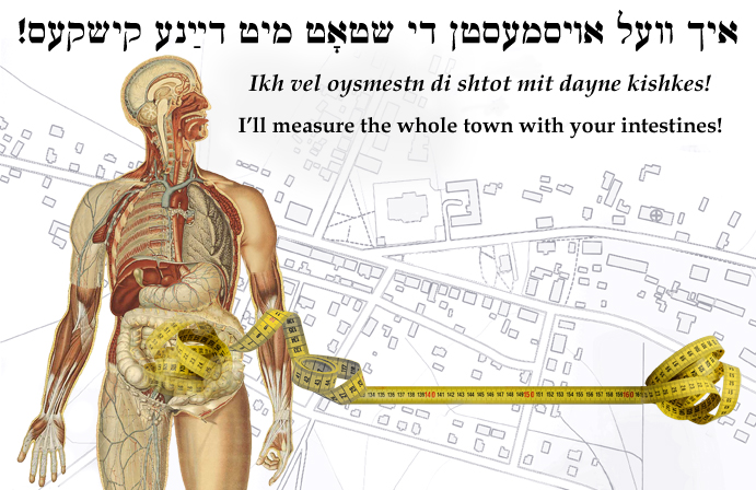 Yiddish: I'll measure the whole town with your intestines!